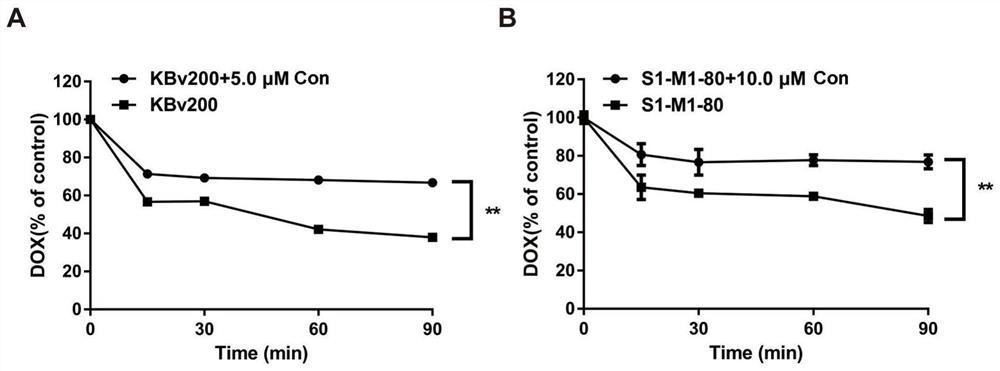 Application of a macrolide compound in reversing tumor multidrug resistance and enhancing antitumor efficacy