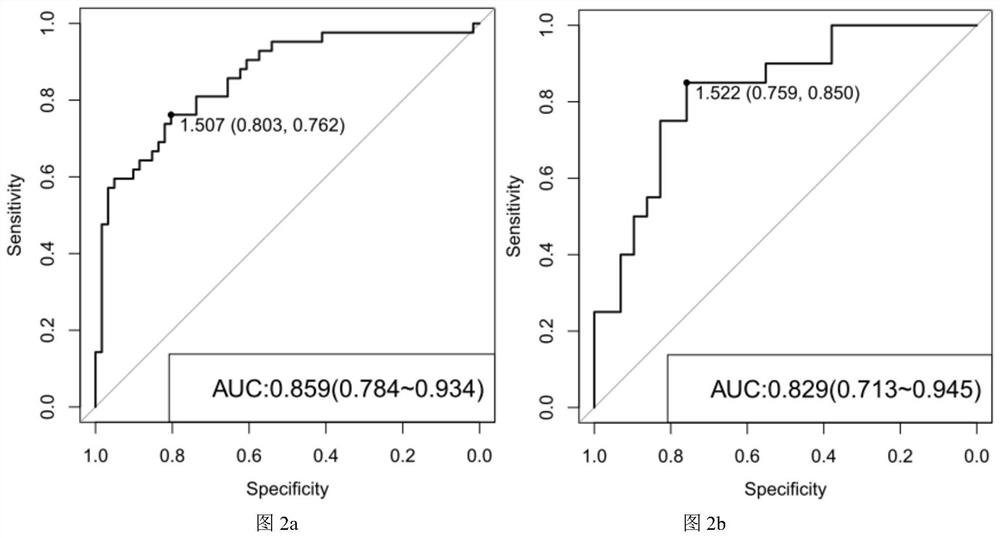 Graves disease marker gene and application thereof