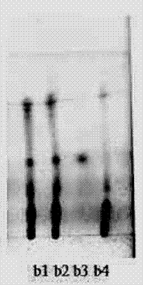 Method for detecting quality of traditional Chinese medicine capsules for regulating collateral channels and soothing liver