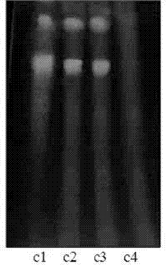 Method for detecting quality of traditional Chinese medicine capsules for regulating collateral channels and soothing liver