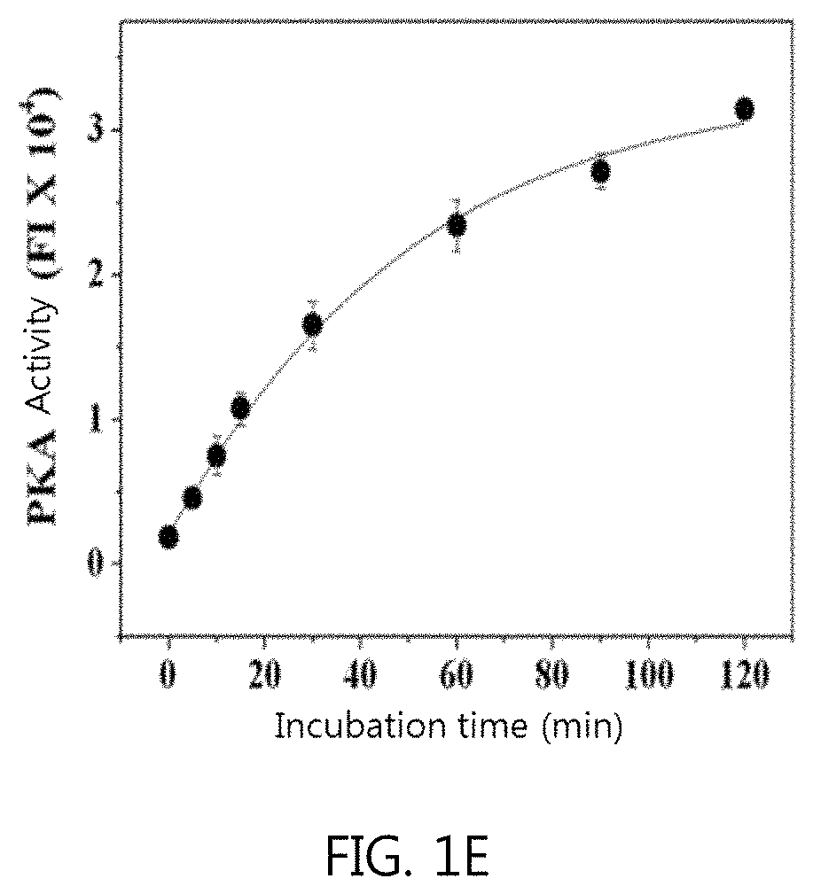 Method for measuring protein kinase activity and kit for same