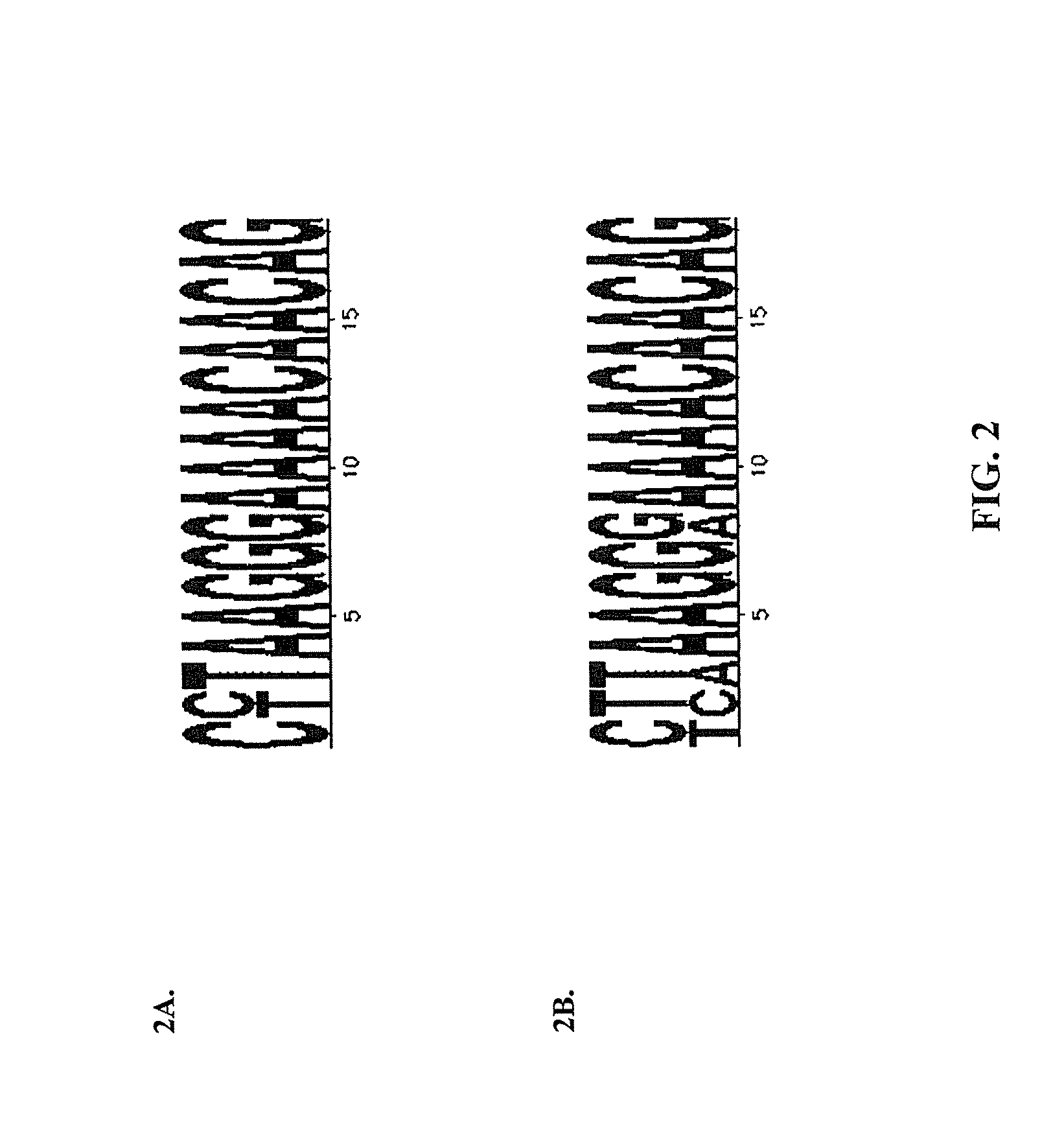 Nannochloropsis spliced leader sequences and uses therefor