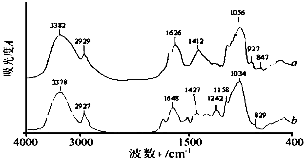 Chinese wolfberry or astragalus membranaceus polysaccharide extraction method