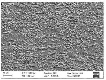 A steel multi-stage hot-rolled multi-phase high-strength steel plate and its production method