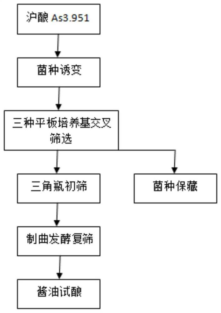 Aspergillus oryzae ZA223 and application thereof