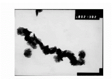 Hydrophilic vermiform CuS (copper sulphide) agglomerate and preparation method and usage thereof