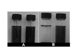 Hydrophilic vermiform CuS (copper sulphide) agglomerate and preparation method and usage thereof