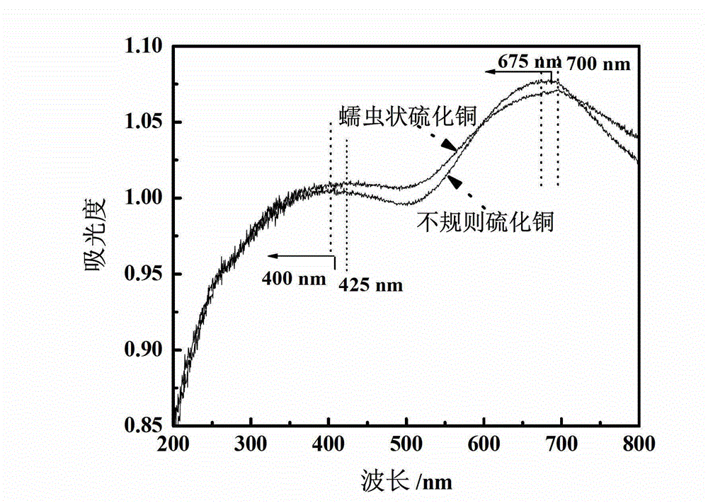 Hydrophilic vermiform CuS (copper sulphide) agglomerate and preparation method and usage thereof