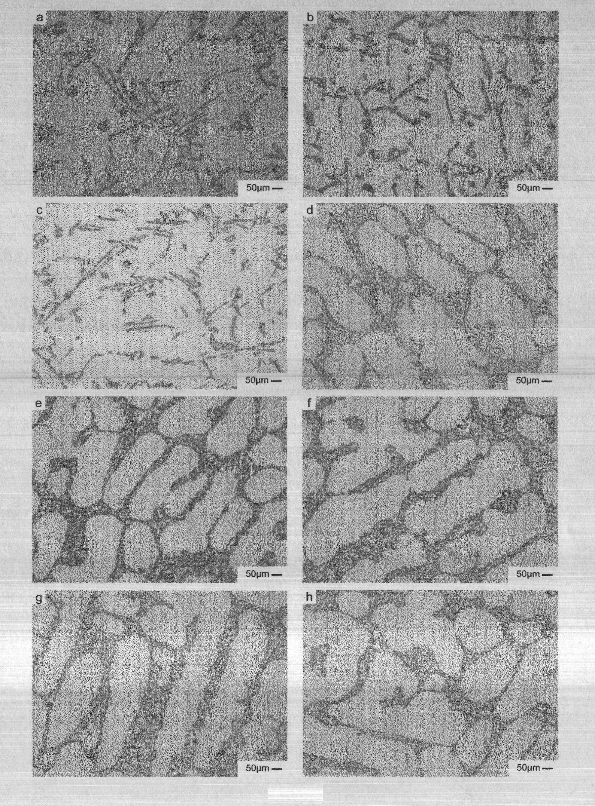 Metamorphic process of hypo eutectic casting aluminum-silicon alloy