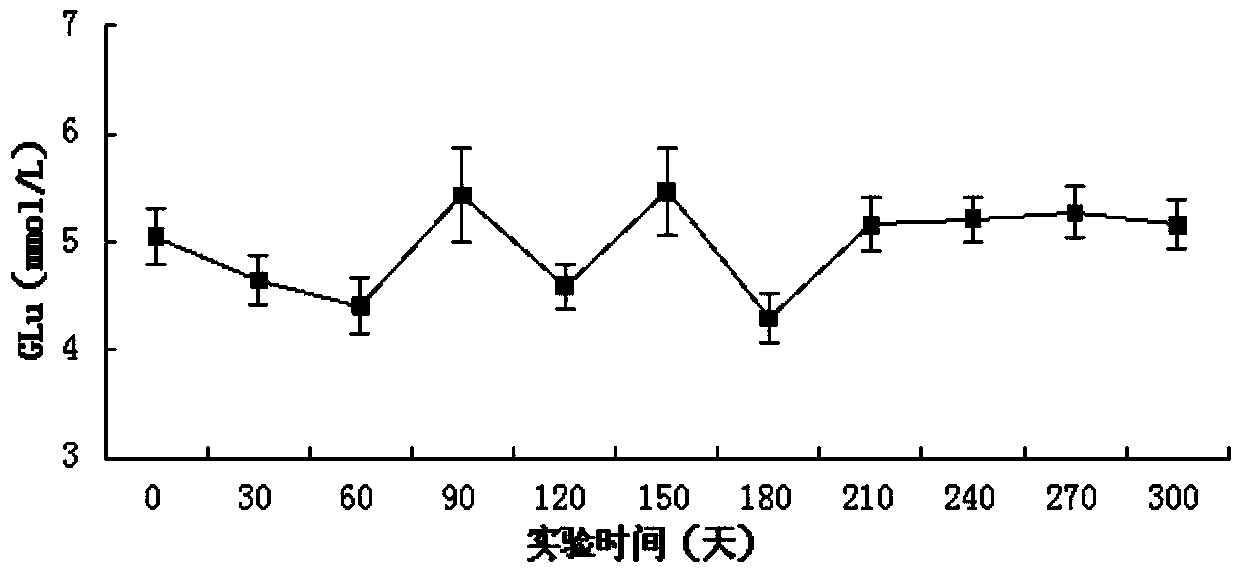 Preparing method for small-sized pig 2-type diabetes model