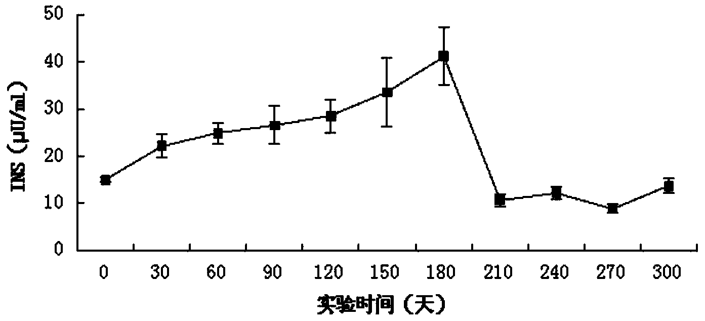 Preparing method for small-sized pig 2-type diabetes model