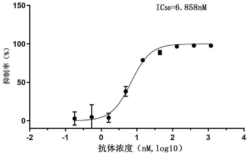 Neutralizing nano antibody for resisting novel coronavirus SARS-CoV-2 and application thereof