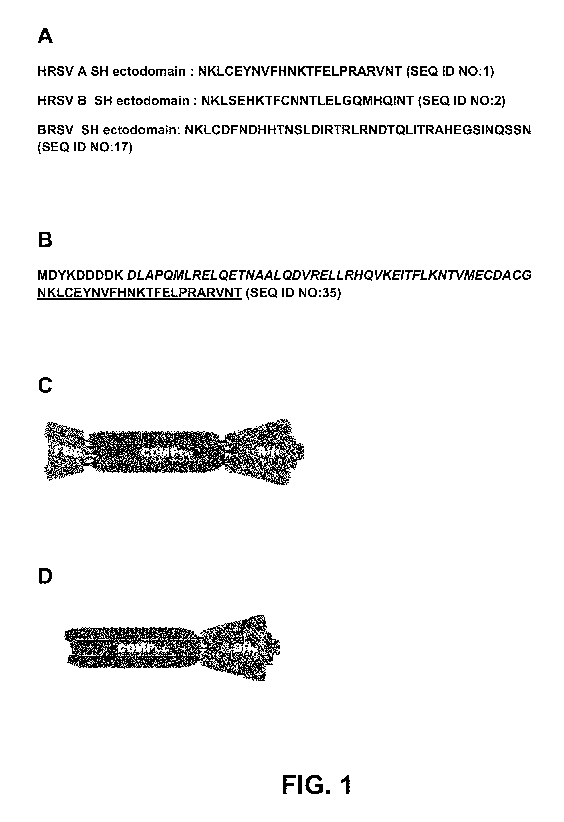 Respiratory syncytial virus vaccine