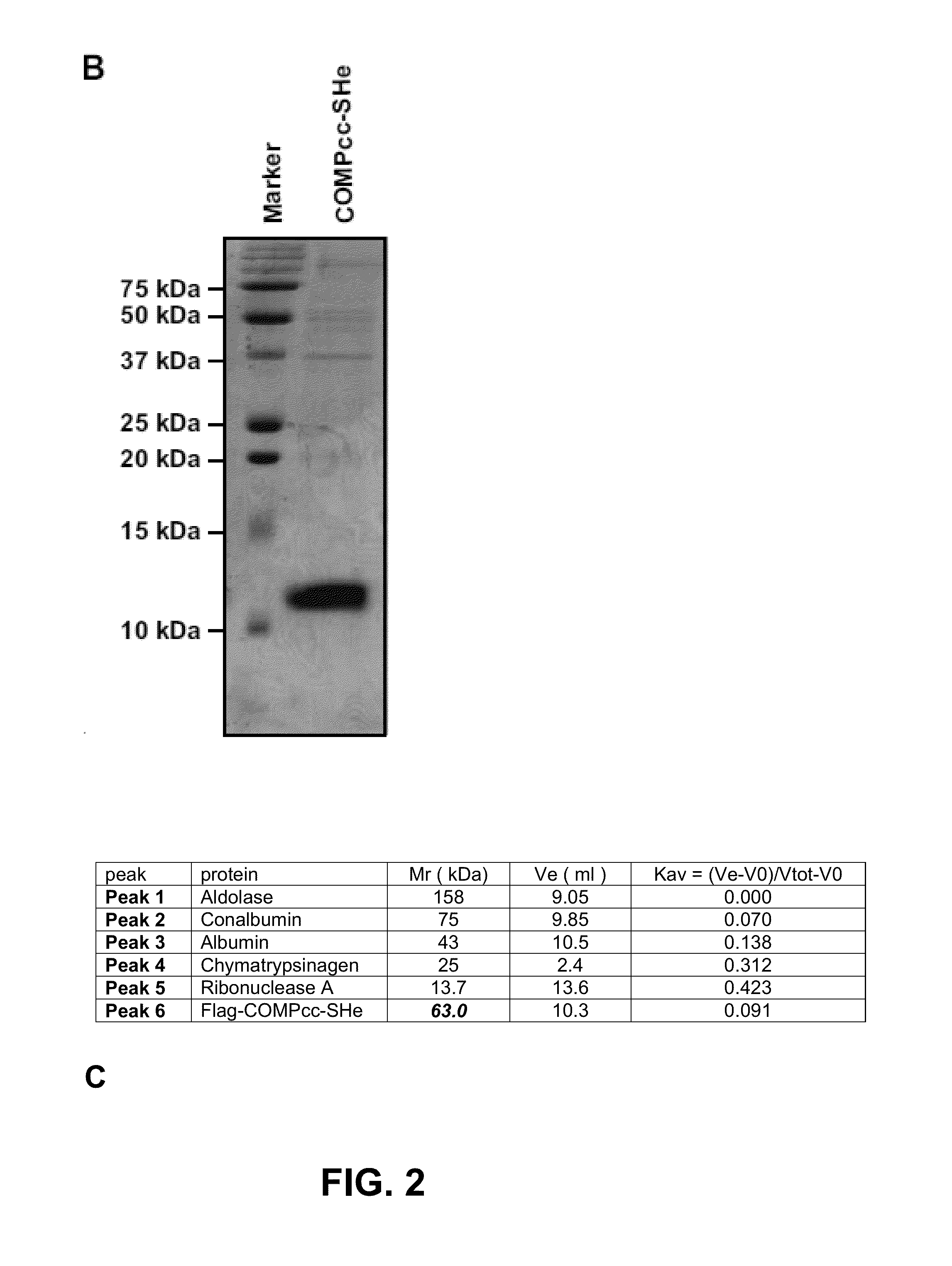 Respiratory syncytial virus vaccine