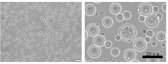 A kind of natural sericin microsphere wrapped by metal-organic coordination polymer and its preparation method and application