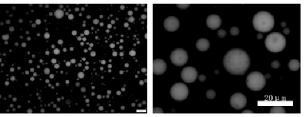 A kind of natural sericin microsphere wrapped by metal-organic coordination polymer and its preparation method and application