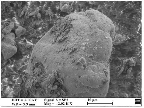 Environmentally-friendly wear-resistant non-slip foam composite material used for shoes and preparation method of composite material