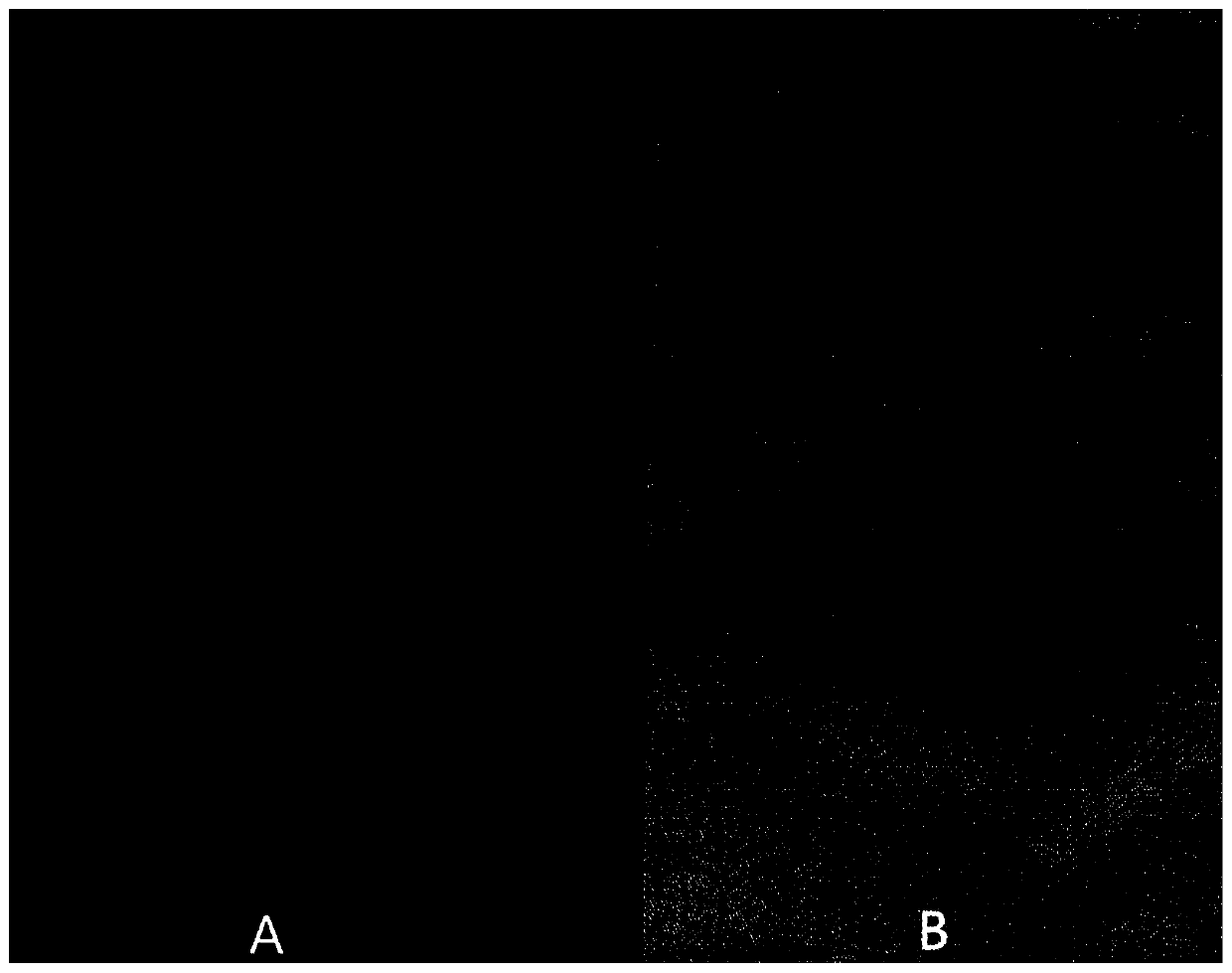 Dyeing method for leuco body pad dyeing