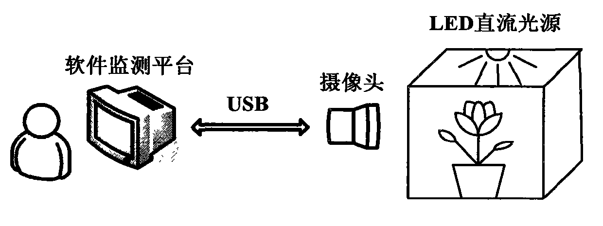 A Key Frame Extraction System of Flower Growth Based on Aggregation Mechanism