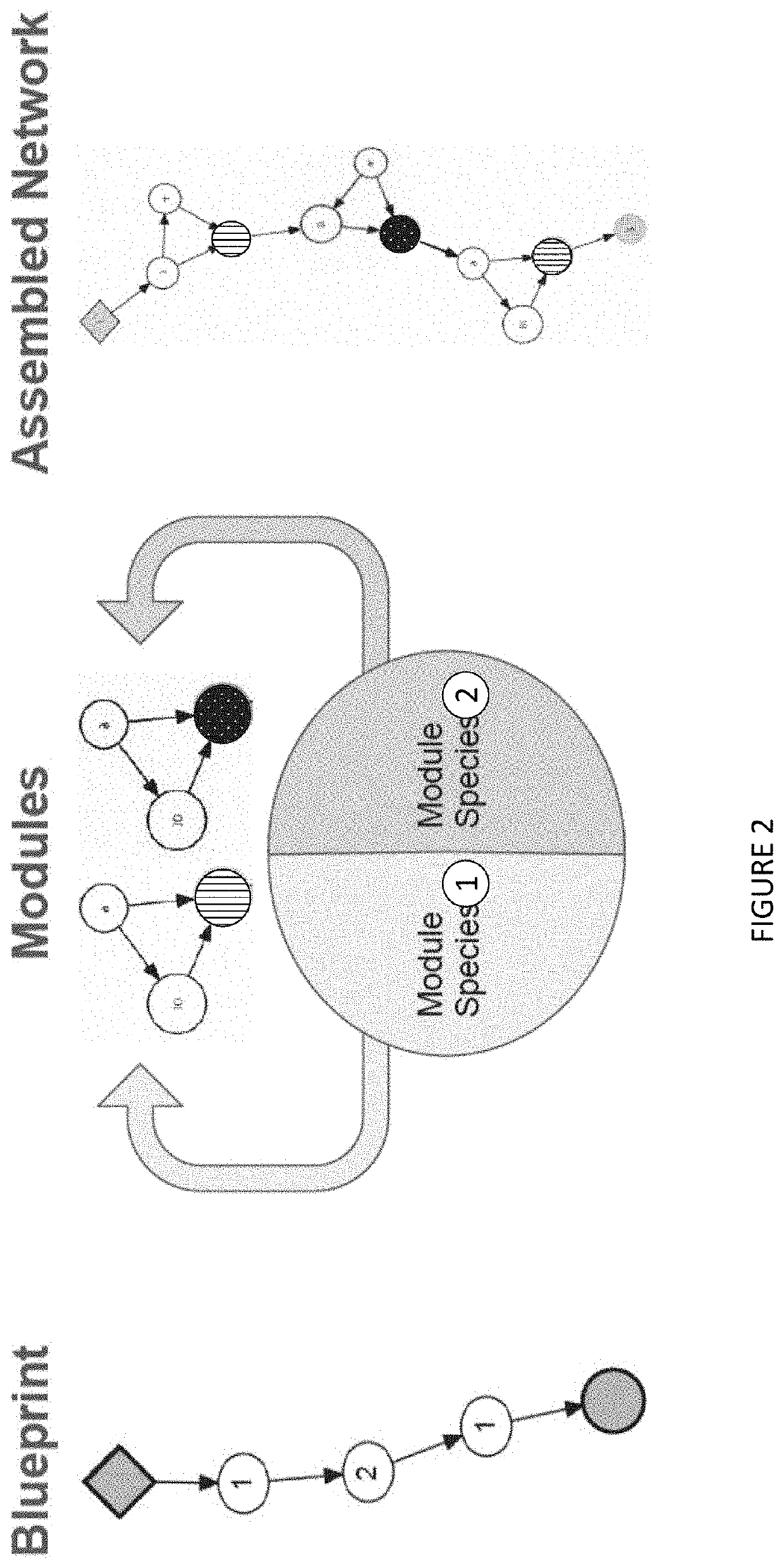 Multiobjective Coevolution of Deep Neural Network Architectures