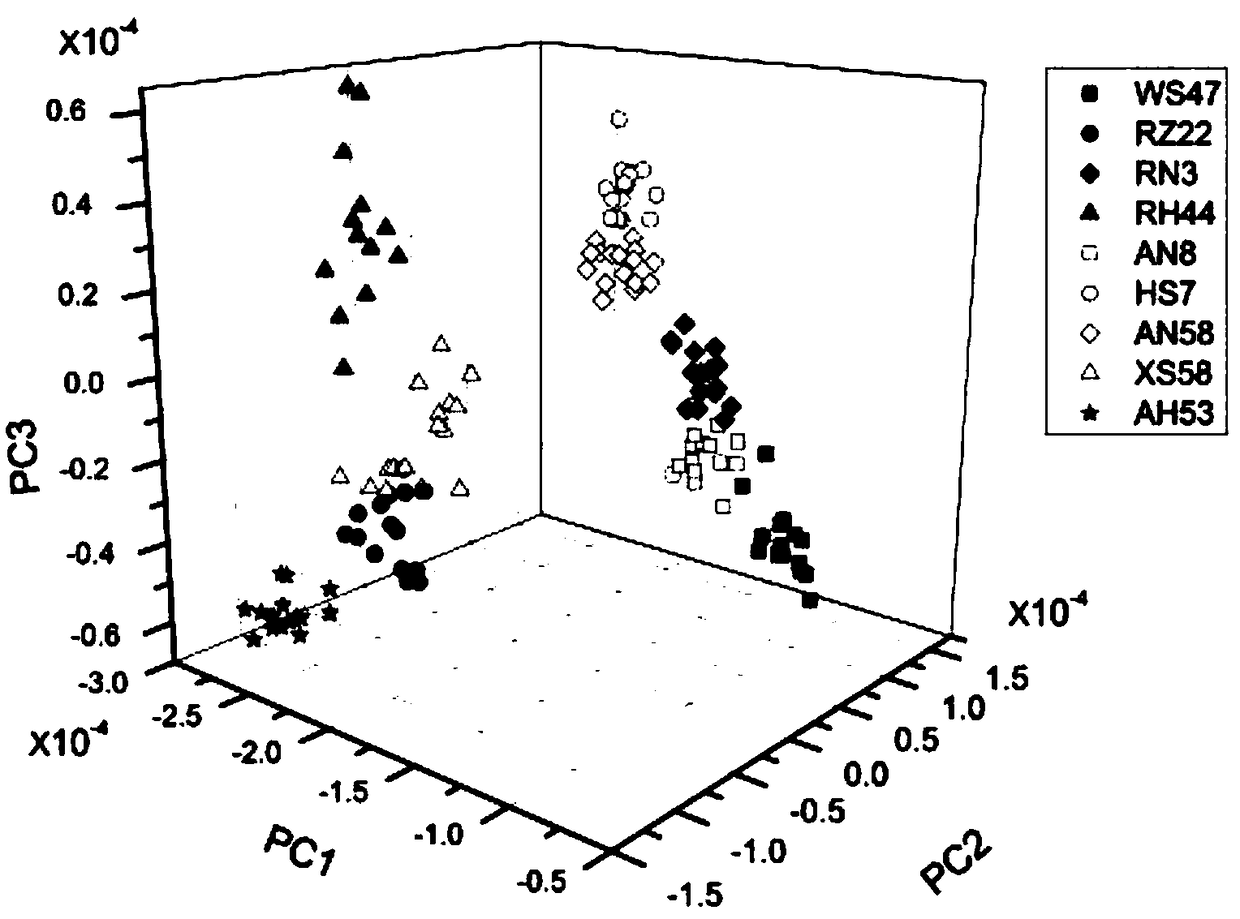 Rapid identification method for spiral seaweeds having different adsorption capacities of copper ions