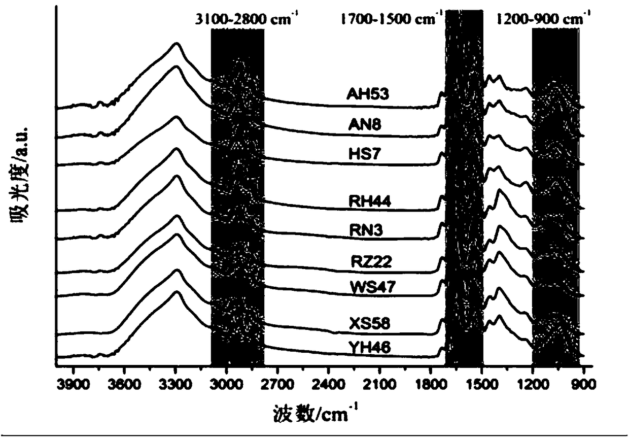 Rapid identification method for spiral seaweeds having different adsorption capacities of copper ions