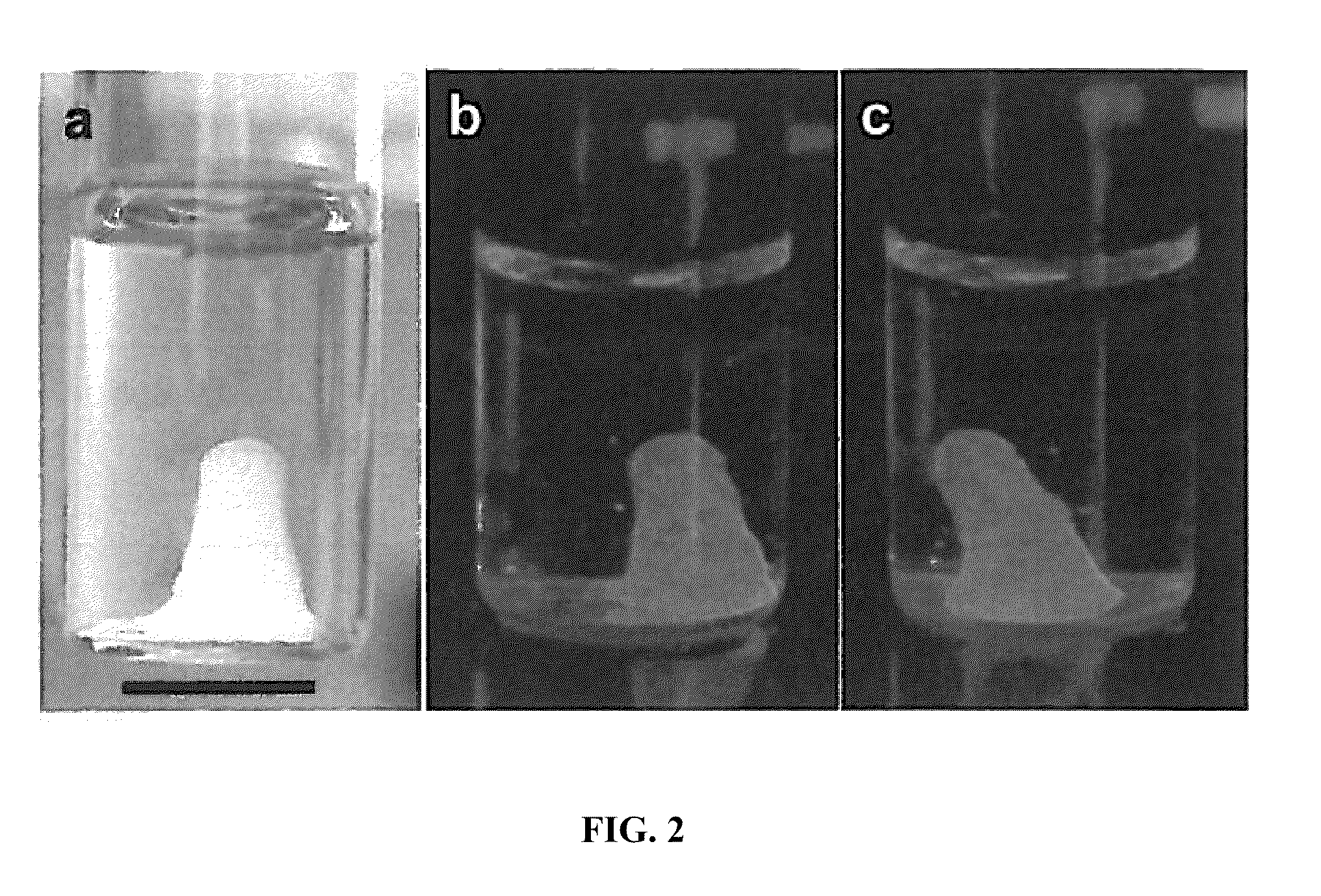 Nucleic acid hydrogel via rolling circle amplification