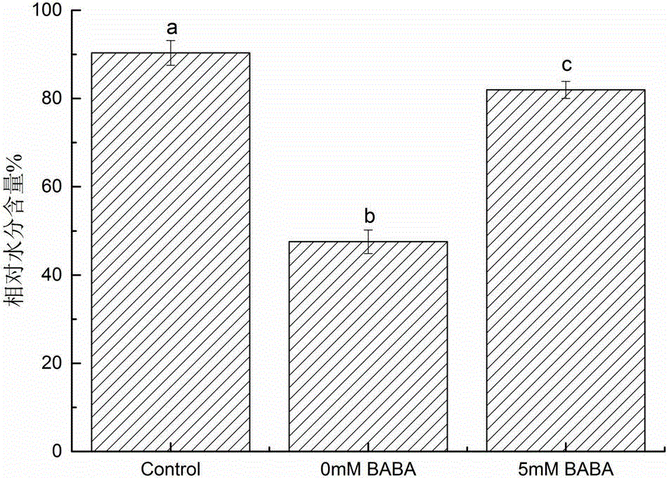 Method for rapidly and effectively improving drought resistance of tobacco