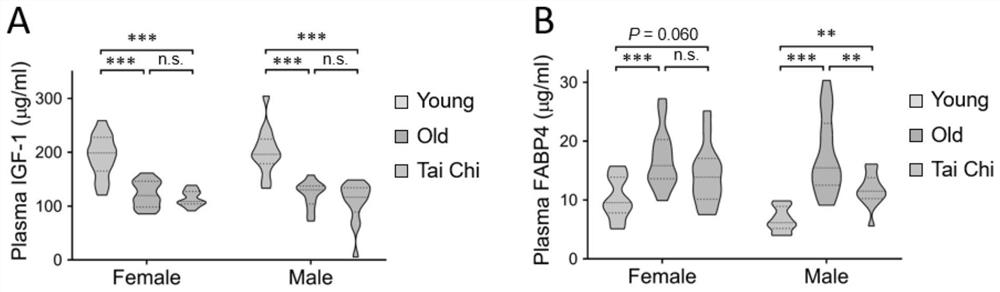 Molecular marker related to senescence and health senescence and application of molecular marker in improving health senescence