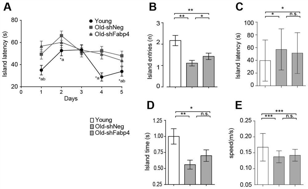 Molecular marker related to senescence and health senescence and application of molecular marker in improving health senescence