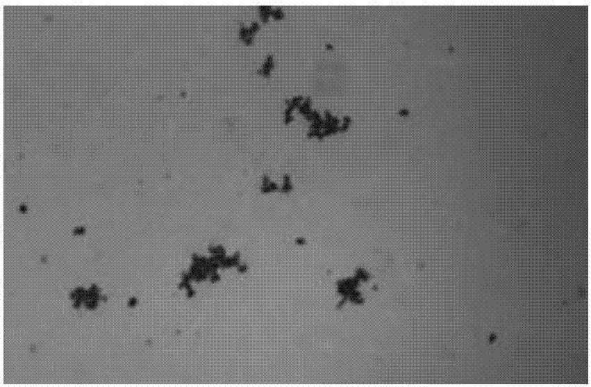 Growing method for inhibiting defect of carbon inclusion in silicon carbide single crystal