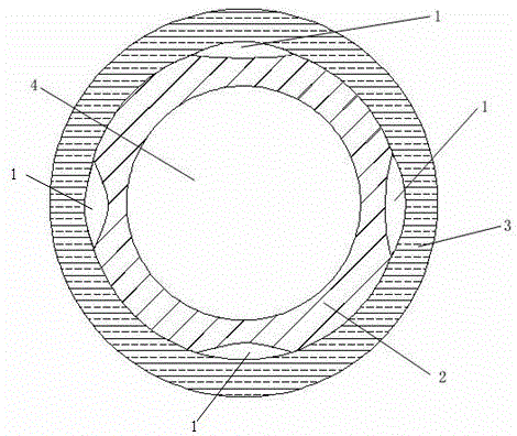 Nerve conduit and preparation method thereof