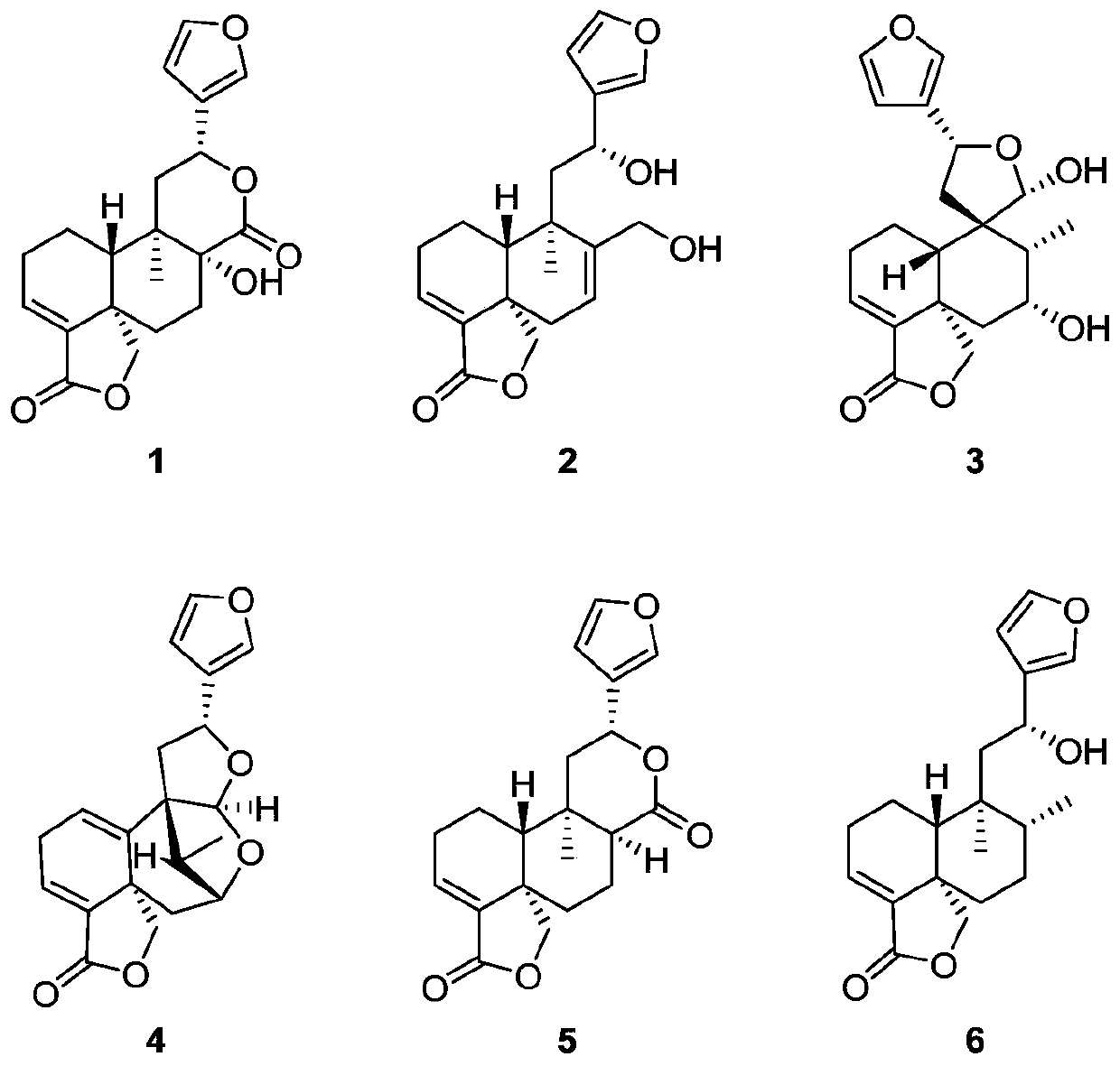 Clerodane diterpenoid compounds and application thereof in pharmacy