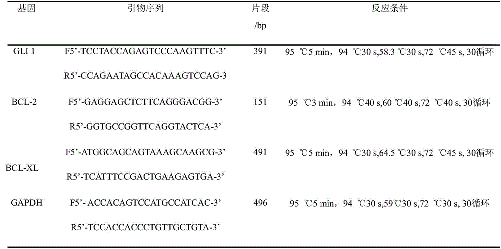 Detection method for effects of inhibitor GANT61 on multiplication and apoptosis of HL-60