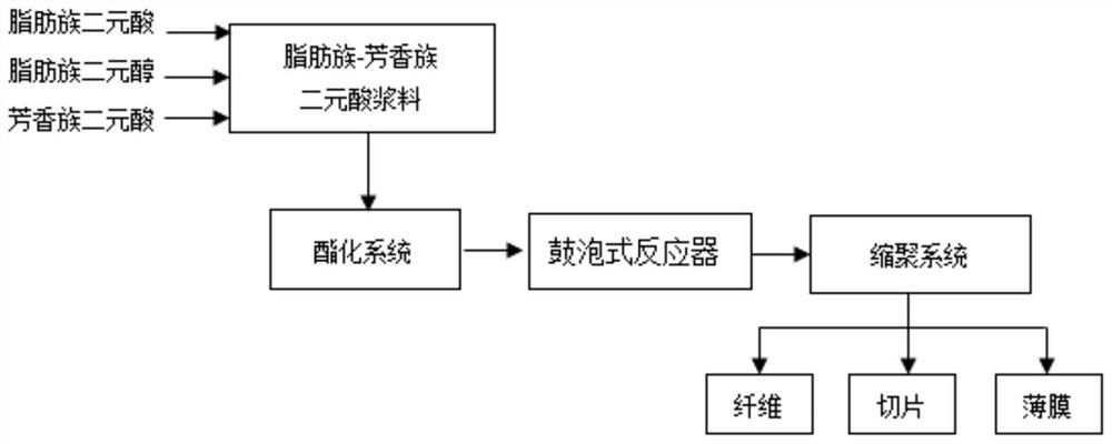 Preparation system and preparation method of biodegradable copolyester and copolyester thereof