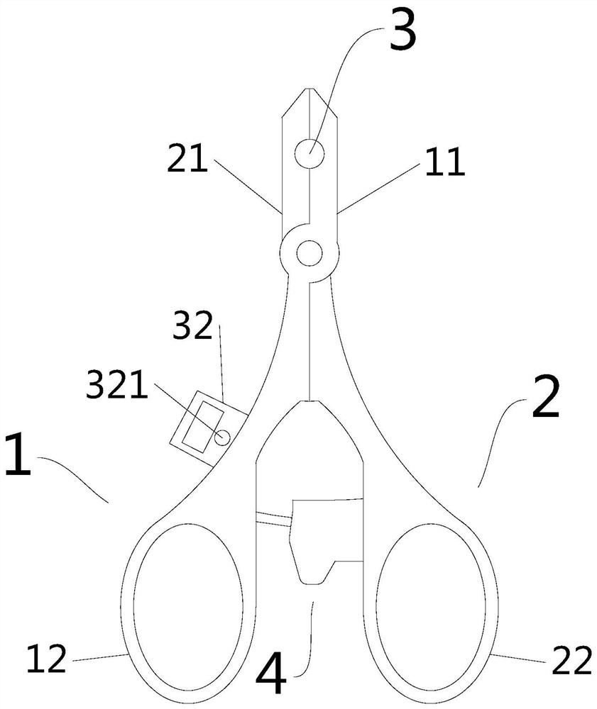 Tail clamping device for depression animal model construction, expression image acquisition system, model construction method and application