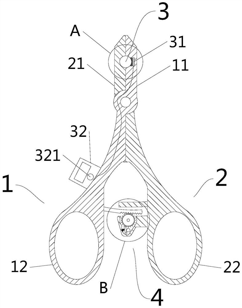 Tail clamping device for depression animal model construction, expression image acquisition system, model construction method and application