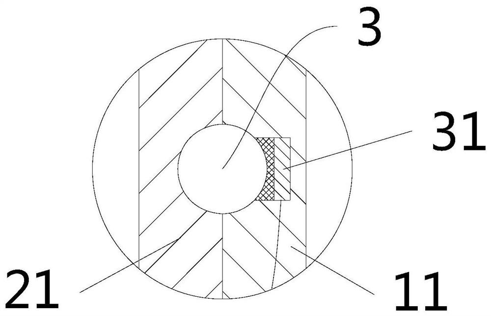 Tail clamping device for depression animal model construction, expression image acquisition system, model construction method and application