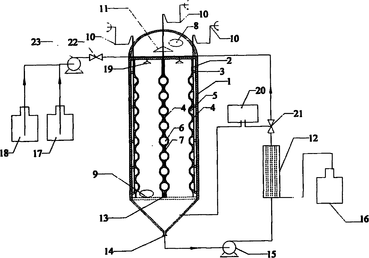 Cycling elution biomimetic peristaltic enzymolysis reactor and method thereof