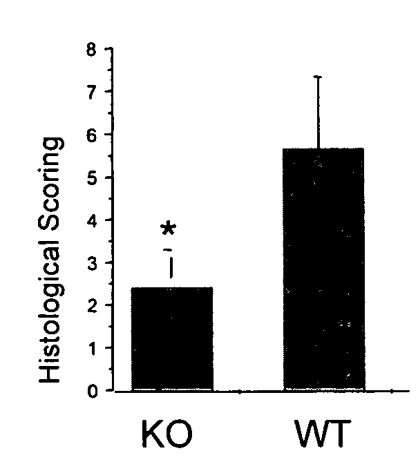 Methods for treating inflammation by disrupting MCH-mediated signaling