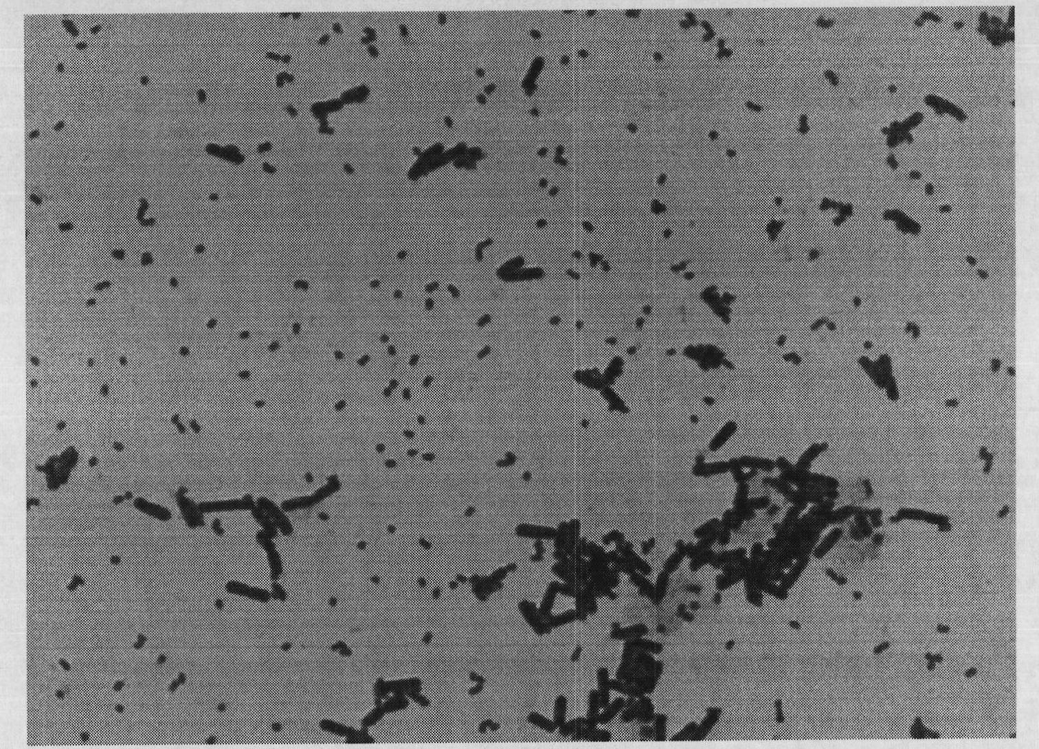 Application of tetra-carbonic acid or salt thereof to preparing 2-keto-L-gulonic acid in tricarboxylic acid cycle