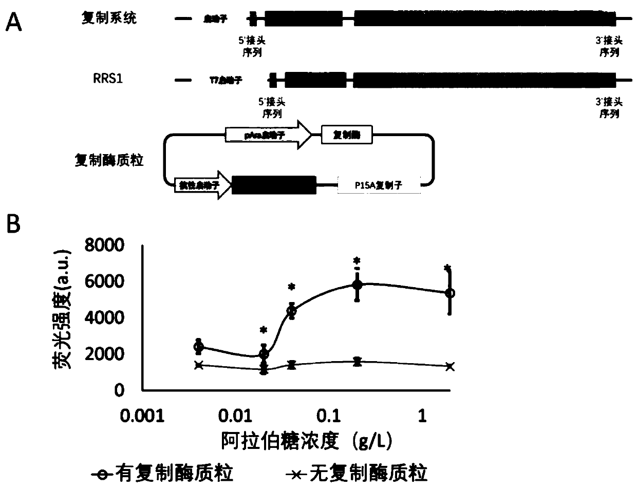 Replication system and application thereof in gene expression