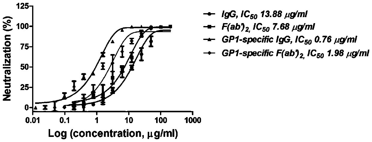 Neutralizing antibody against Junin virus, preparation method thereof and application thereof