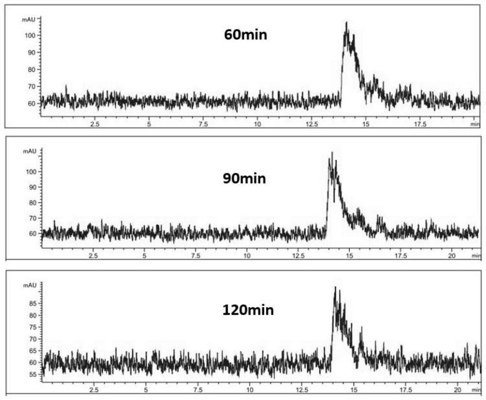 Targeting PD-L1 polypeptide probe and application thereof in preparation of PET imaging agent