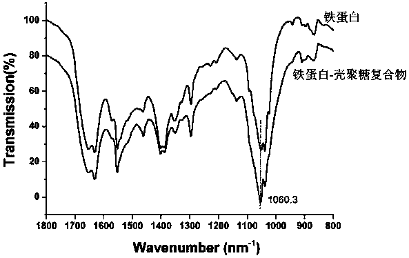 Method for preparing ferritin-chitosan complex by utilizing transglutaminase and chitosan