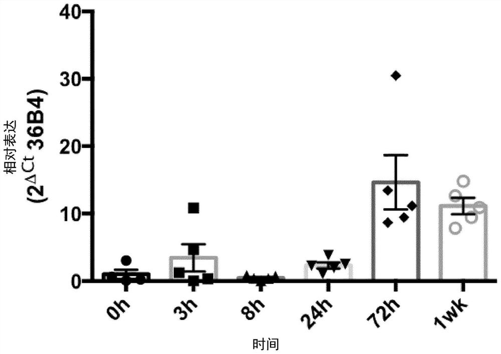 Agonists of Tacr2