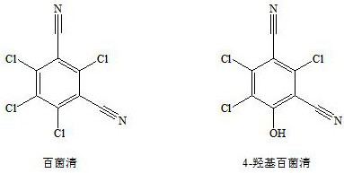 A LCMSMS method for the rapid and simultaneous detection of chlorothalonil and its metabolites in fruits and vegetables