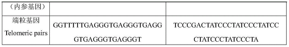 Method for judging development potential of embryos according to length of telomeres of granular cells