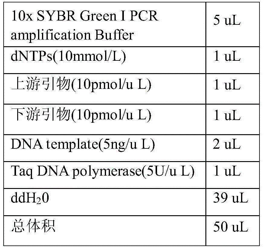 Method for judging development potential of embryos according to length of telomeres of granular cells