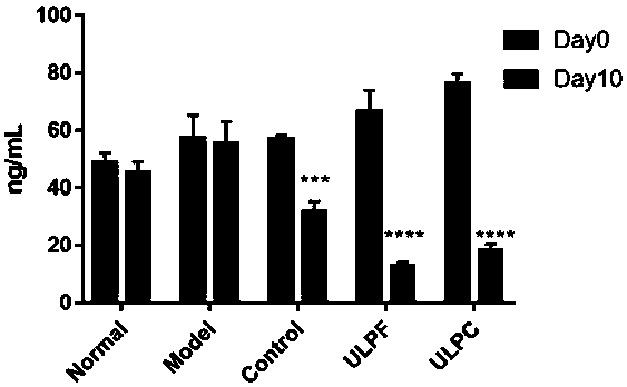 Ulvan composition with anti-tumor activity and preparation method thereof